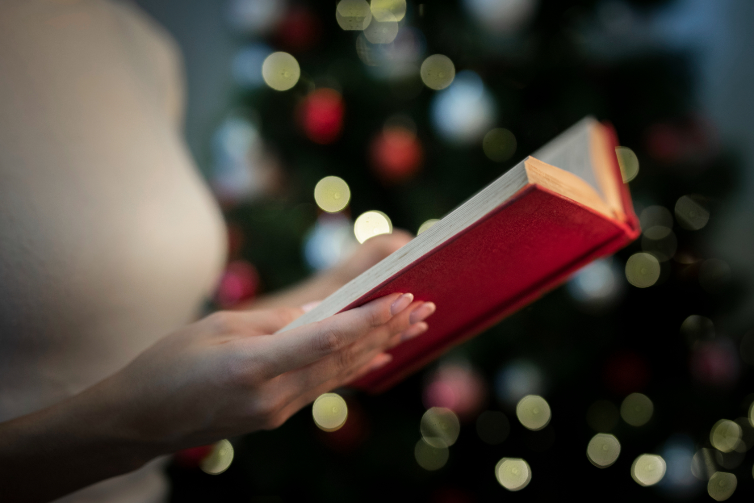 In Biblioteca è tempo di 'Libri sotto l’albero': durante le feste ecco il mercatino di testi usati